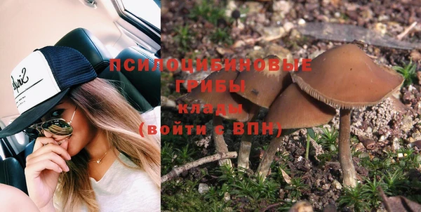 герыч Зеленодольск