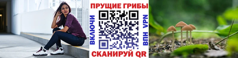 Галлюциногенные грибы Psilocybe  Купить закладки  Вилючинск 